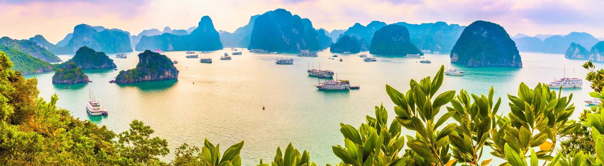 Halong Bay Cruises